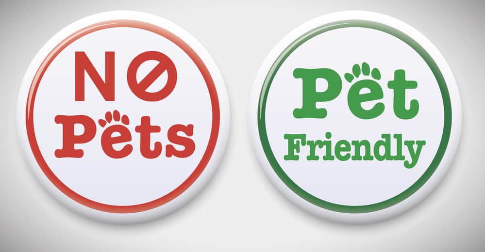 No pets - Pets allowed